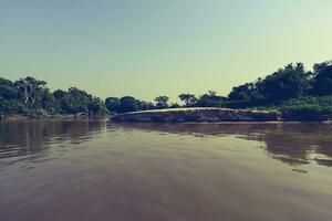 pantanal bosque ecosistema, mato asqueroso, Brasil foto