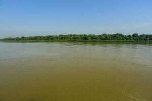 Pantanal ecosystem, Mato Grosso, Brazil photo