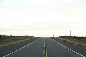 Route in the Pampas plain, Patagonia, Argentina photo