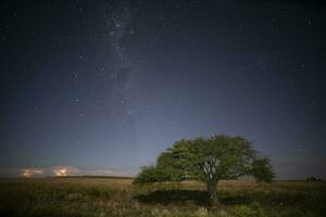 pampa paisaje fotografiado a noche con un estrellado cielo, la pampa provincia, Patagonia , argentina. foto