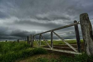 Field gateway in countryside, Buenos Aires province, Patagonia , Argentina photo