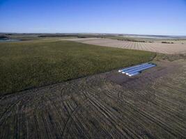 Silo bag, grain storage in La Pampa, Argentina photo