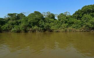 río paisaje y selva,pantanal, Brasil foto