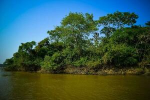 río paisaje y selva,pantanal, Brasil foto