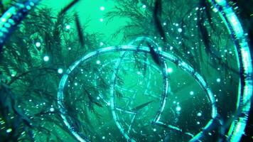 3d animation forest fantasy. Satisfying Loop. Visual VJ video