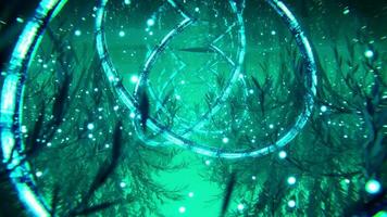 3d animation forest fantasy. Satisfying Loop. Visual VJ video