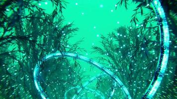 3d animation forêt fantaisie. satisfaisant boucle. visuel vj video