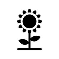 girasoles icono vector símbolo diseño ilustración