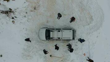 Vehicle is stuck stranded in the snow. People rescuing car stuck in snow. video