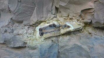 Petrified Wood Bark Fossil In Rock video