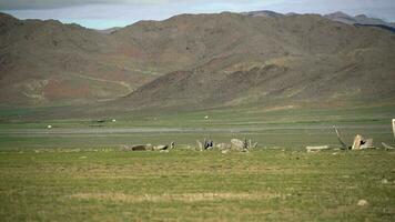 Deer stone Stele in the Asian Meadows video