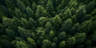 verde pino bosque borroso fondo, ai generado foto