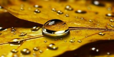 Waterdrop on leaf copy space blurred background, AI Generated photo