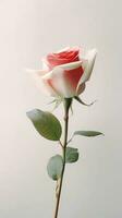 White rose flower copy space blurred background. AI Generated photo