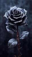 Black rose flower copy space blurred background. AI Generated photo