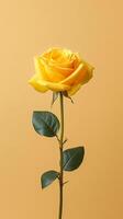 Yellow rose flower copy space blurred background. AI Generated photo