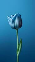 Blue tulip flower copy space blurred background. AI Generated photo
