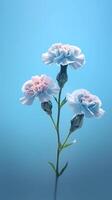 Carnation Dianthus caryophyllus flower blurred background. AI Generated photo