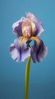 iris flor púrpura pétalo borroso antecedentes. ai generado foto
