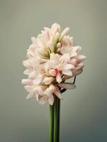 Tuberose flower bridal bouquet blurred background. AI Generated photo