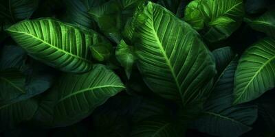 Darkness green leaf pattern dramatic background. AI Generated, photo