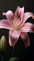 Pink lily flower wallpaper background. AI Generated, photo