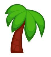 Palm tree with foliage and stem, cartoon vector