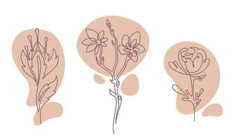 Blooming flowers, stems and foliage plants vector