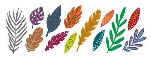 Leaves of trees and plants, spring and autumn vector