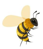 Beekeeping and apiary, honeybee insect portrait vector