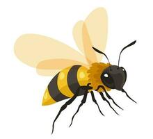Bee insect with wings and legs, honeybee product vector