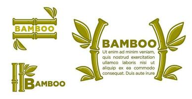 Bamboo collection, poster with copy space vector