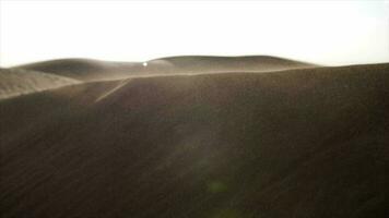puesta de sol terminado Desierto arena dunas en árabe Desierto video