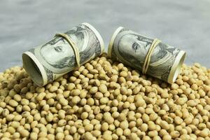 Dollars banknotes and coins and soy beans,oleaginous commoditi value concept. photo