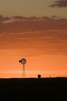 Windmill in countryside at sunset, Pampas, Patagonia,Argentina. photo