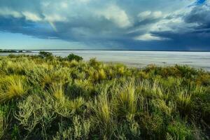 Broken dry soil in a Pampas lagoon, La Pampa province, Patagonia, Argentina. photo