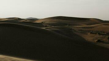 unfruchtbar Wüste Sand Düne Wildnis Landschaft video