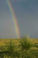 Pampas rainbow landscape, Argentina photo
