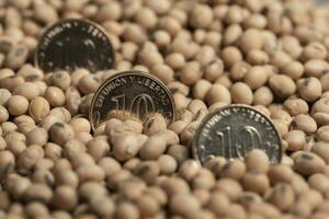 Dollars banknotes and coins and soy beans,oleaginous commoditi value concept. photo