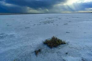 Broken dry soil in a Pampas lagoon, La Pampa province, Patagonia, Argentina. photo