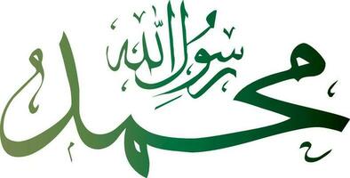 muhammad word calligraphy in islamic style vector