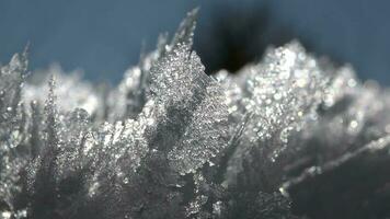 agudo escarcha hielo cristales y frágil Delgado acaparar escarcha en soleado invierno día video