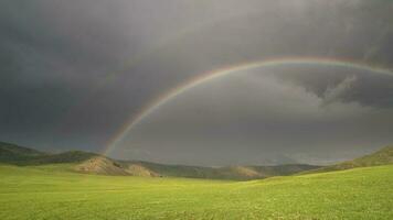 vistoso arco iris en vasto sin árboles prado video