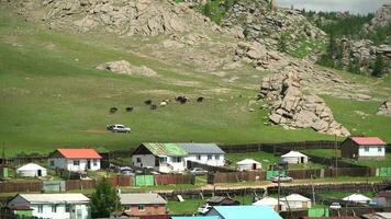 un tradicional vistoso casas en Mongolia video