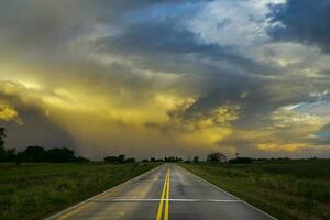 Route in the Pampas plain, Patagonia, Argentina photo