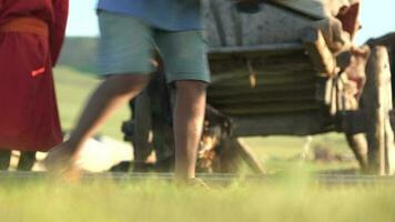 A Dog Sits in Front of an Oxcarriage in Mongolia video