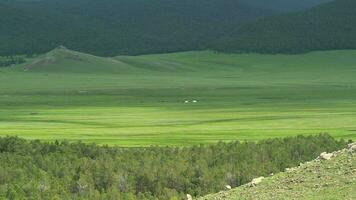 Mongolian Ger Tents in Large Valley of Mongolia Geography video