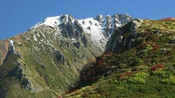 increíble otoño colores de natural vegetación y Nevado montaña picos video
