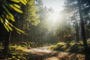 Image of Reconciliation Powerful Double Exposure Image of a Woman and a Forest . . photo