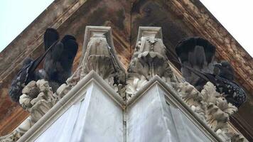 symmetrisk duva fåglar på gotik romanesque kolonner av historisk byggnad ornament video
